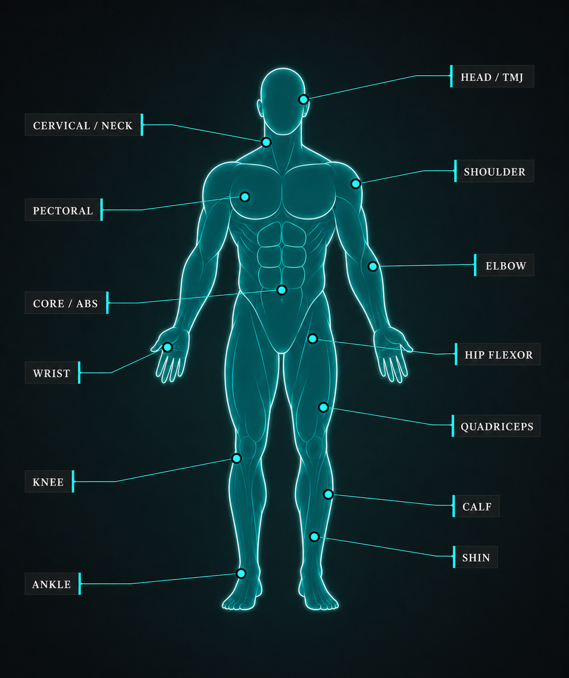 Human body anatomy diagram showing common treatment areas: head, neck, shoulder, pectoral, elbow, core, wrist, hip flexor, quadriceps, knee, calf, shin and ankle
